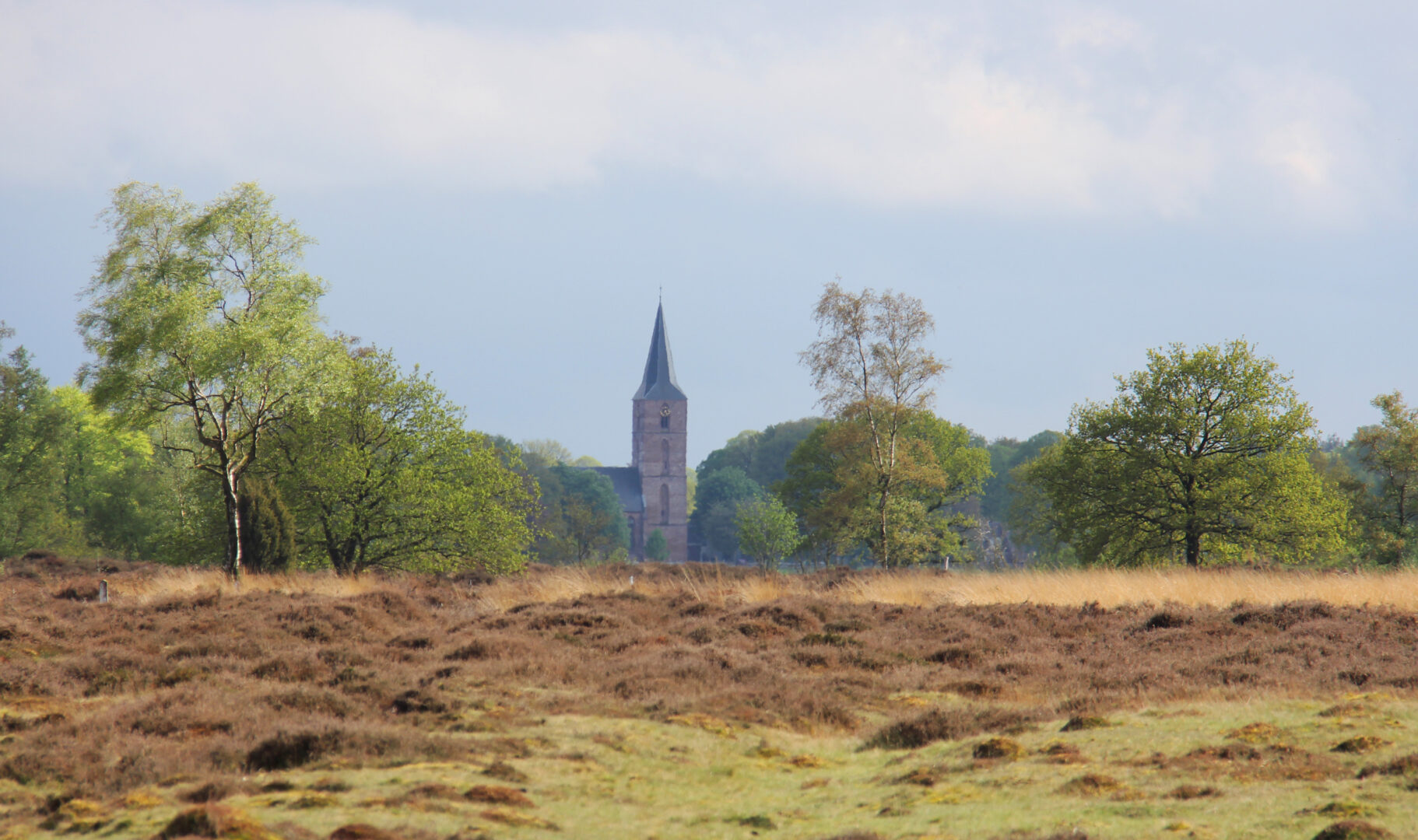 Rolde toren Balloerveld Karrensporen